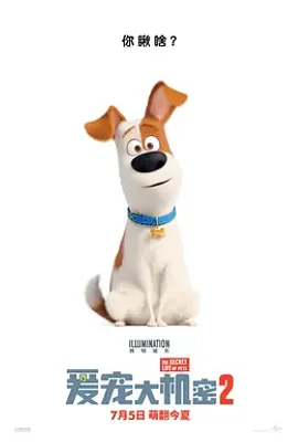 爱宠大机密2 / The Secret Life of Pets 2